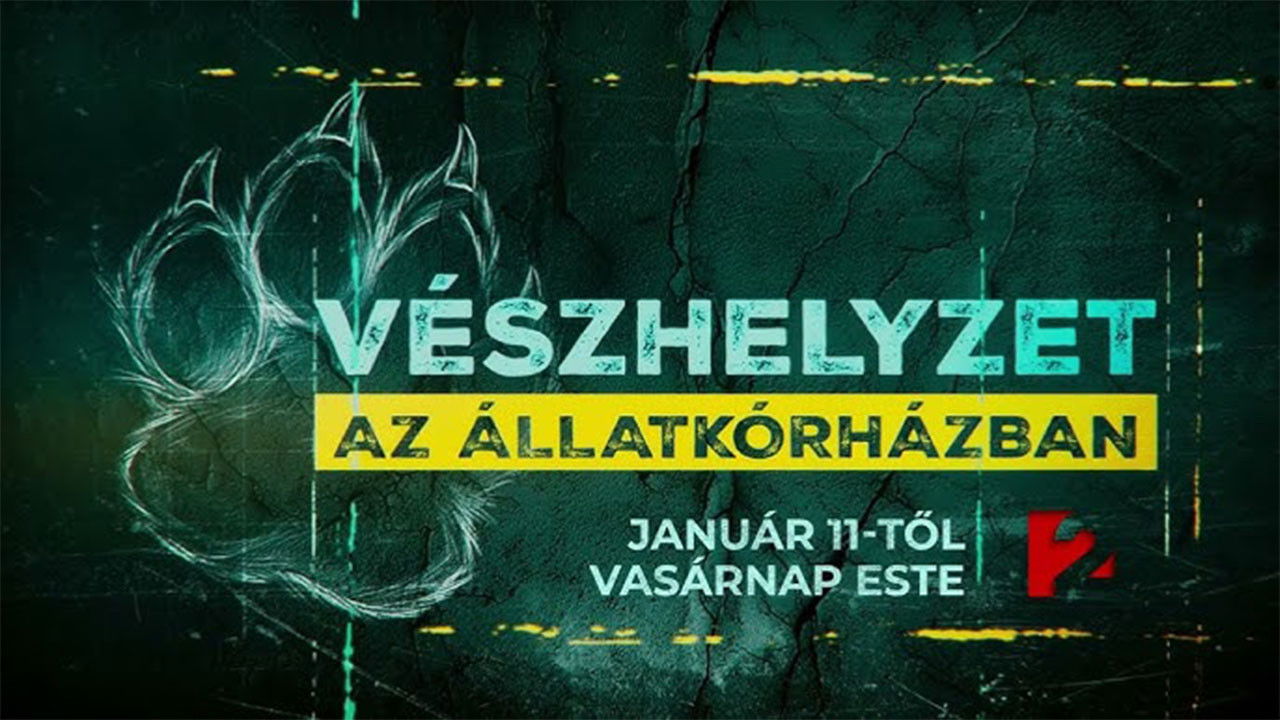 Vészhelyzet az állatkórházban backdrop