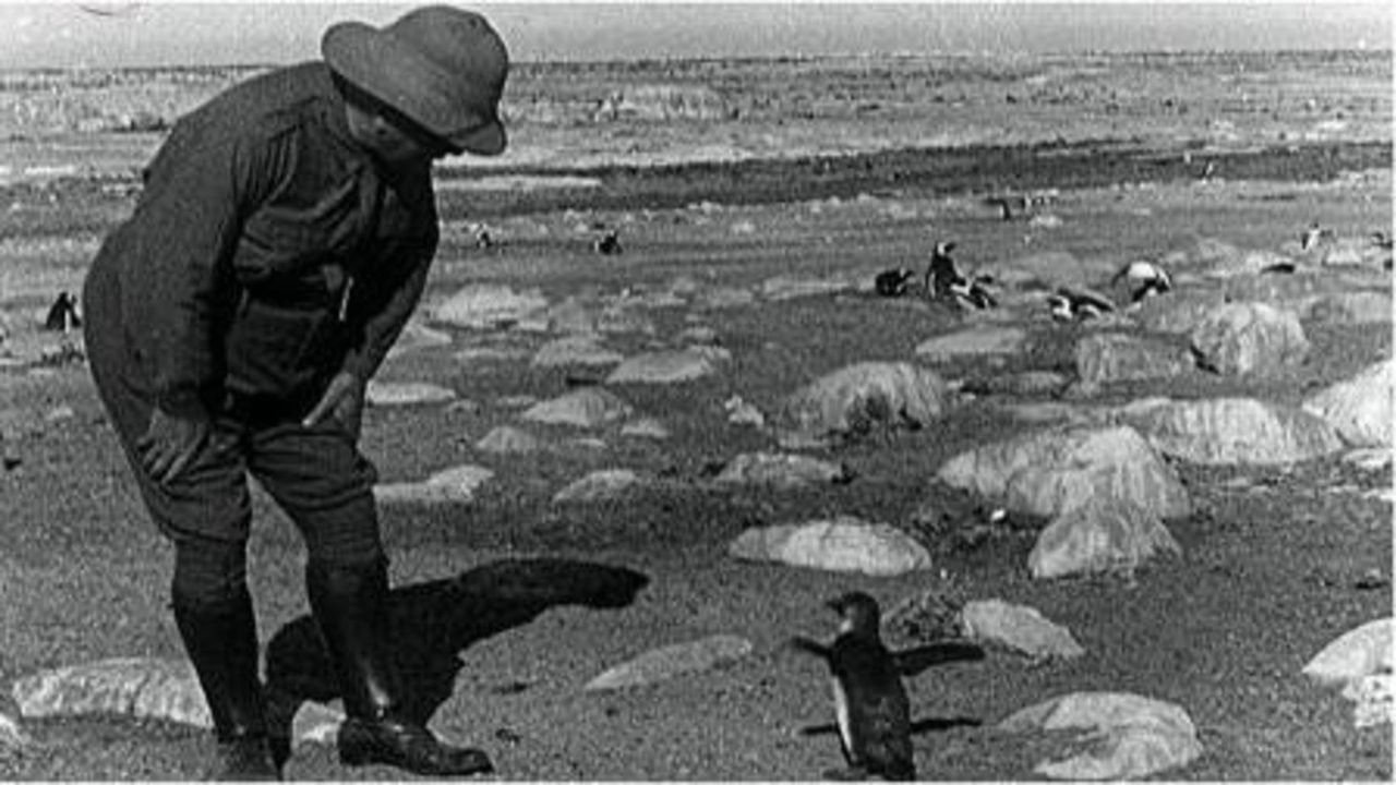 Dassan: An Adventure in Search of Laughter Featuring Nature's Greatest Little Comedians backdrop