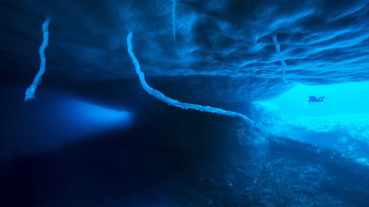 Antarctica, in the footsteps of the Emperor backdrop