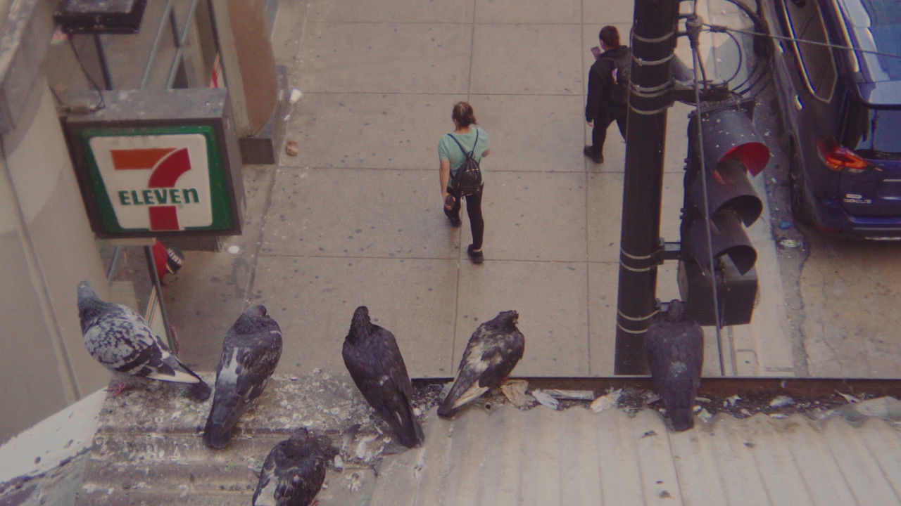 News from Home backdrop