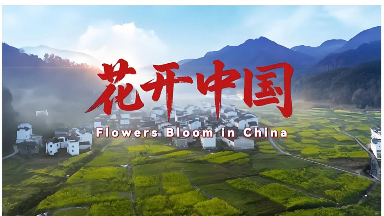花开中国 backdrop