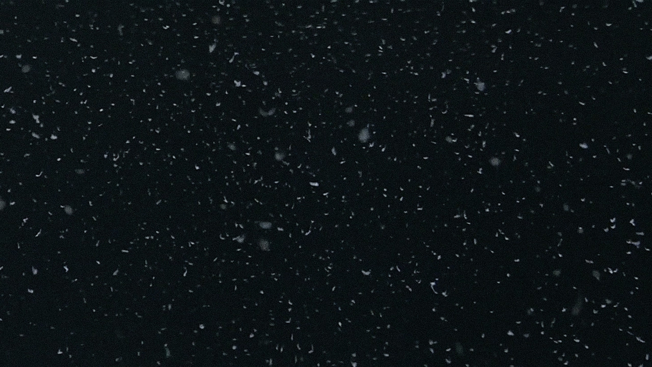 Love Unto Death backdrop