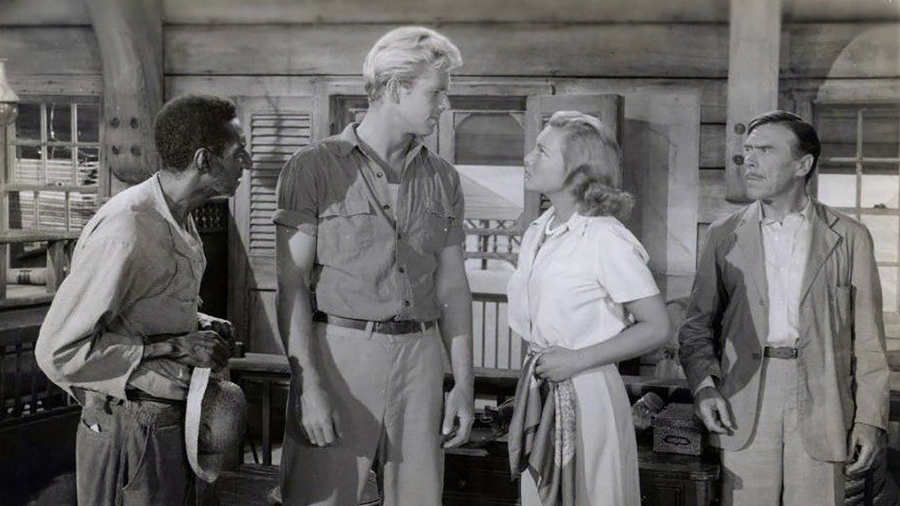 Bahama Passage backdrop