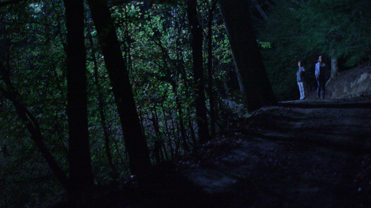 Below the Trees backdrop