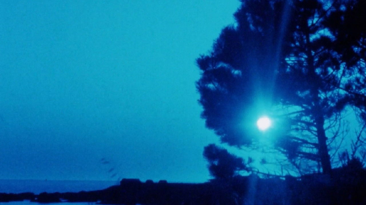 Matter of Clarity backdrop