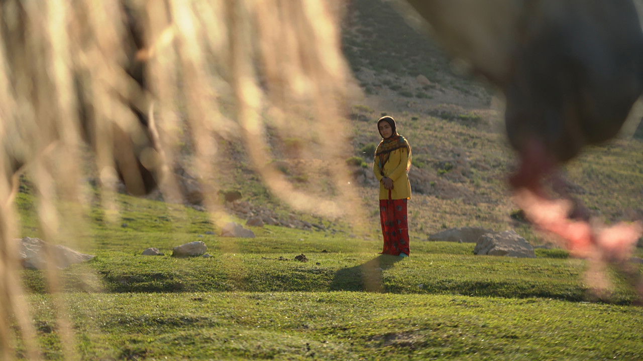 The Dream of a Horse backdrop