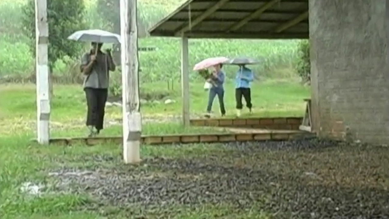 Do Canto ao Pio backdrop