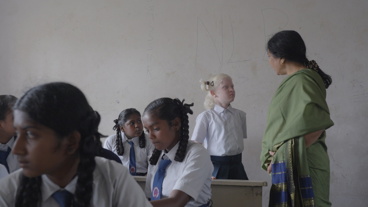Bird of a Different Feather backdrop