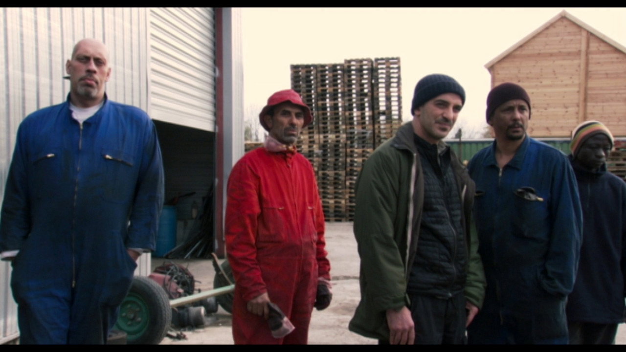 Dernier maquis backdrop