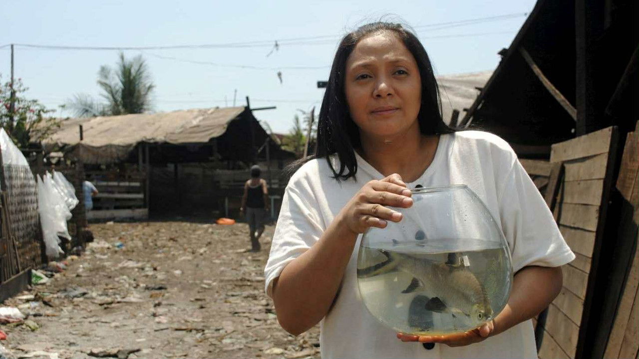 Fable of the Fish backdrop