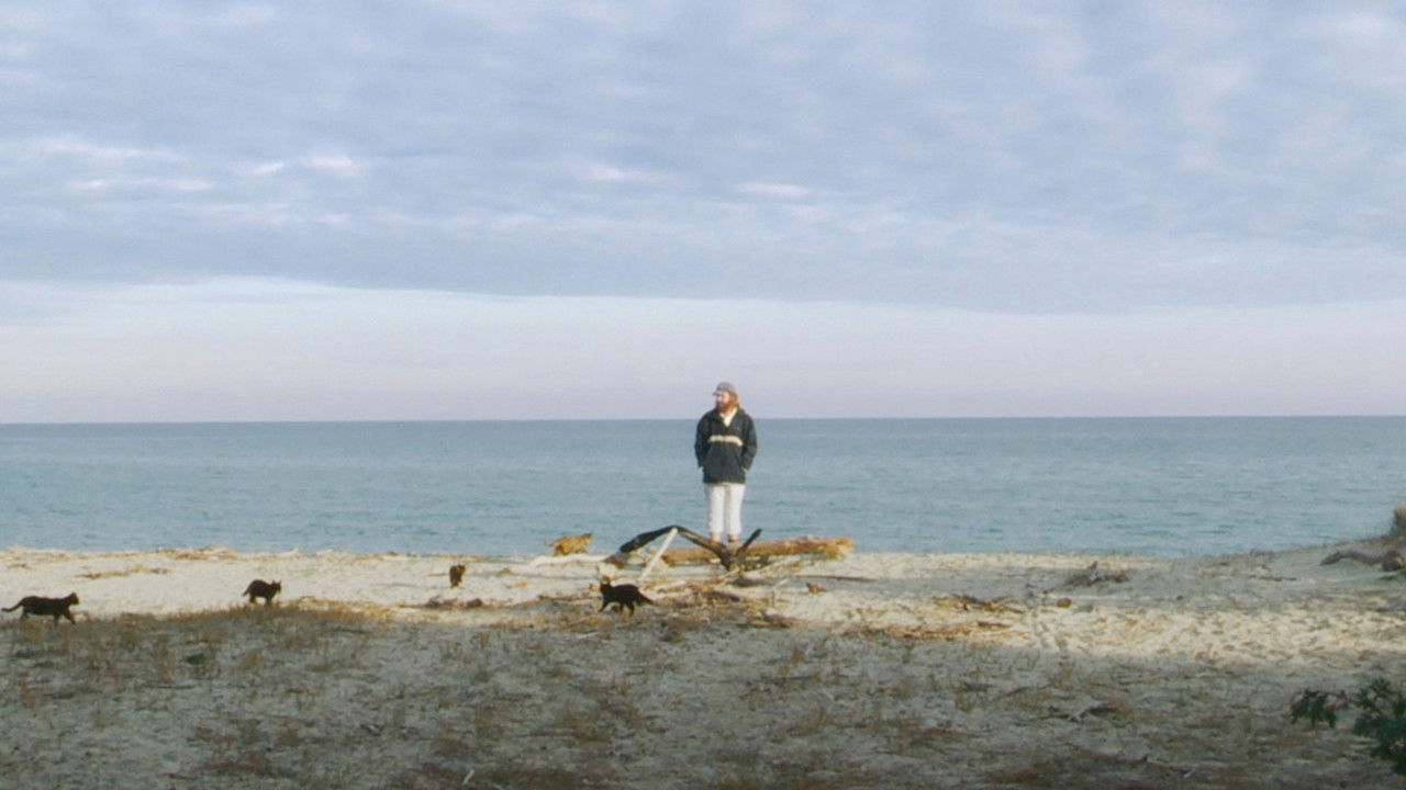 In the Open backdrop