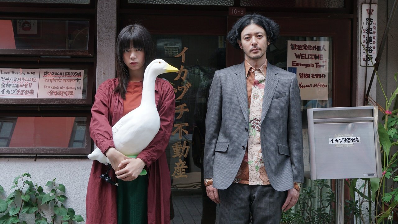 Room Laundering backdrop