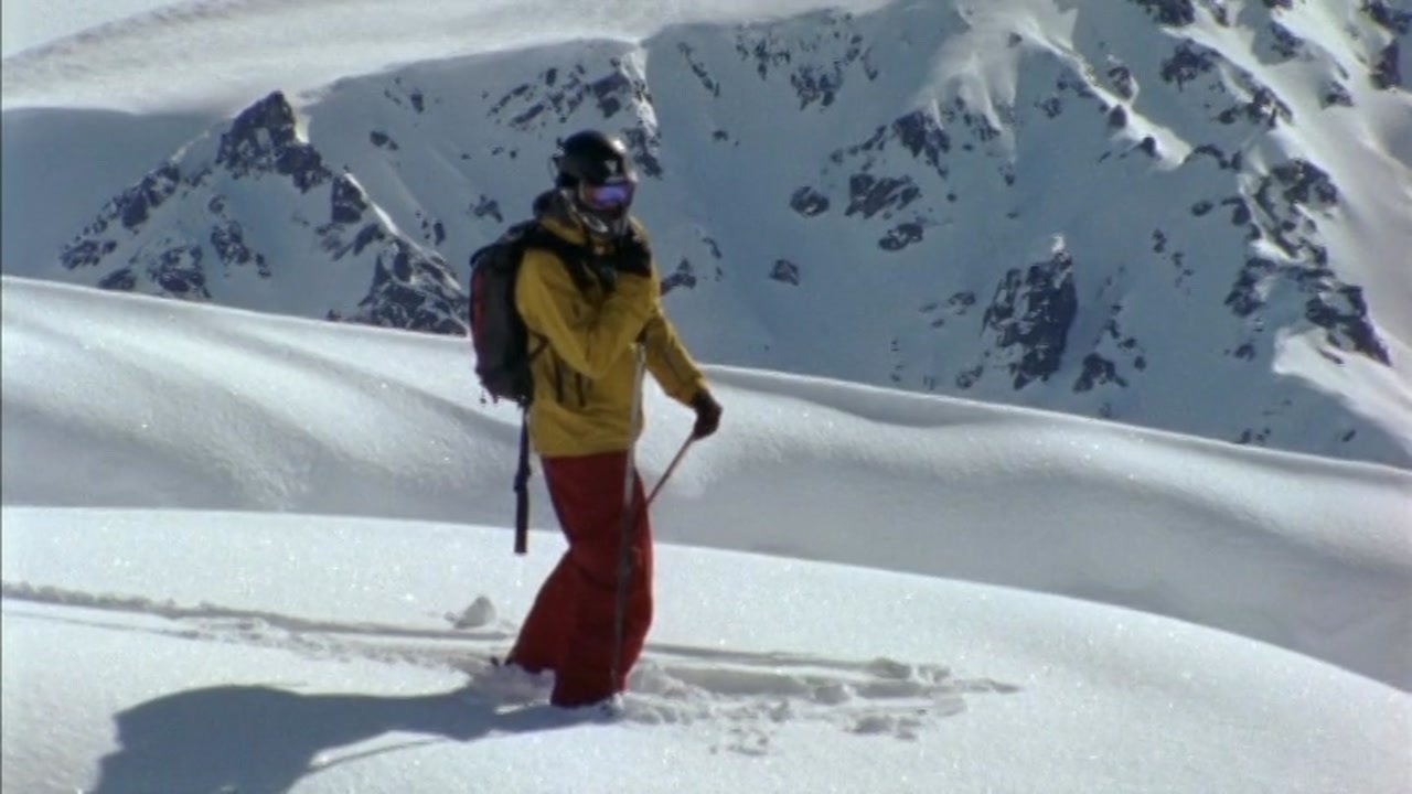 Lost And Found backdrop