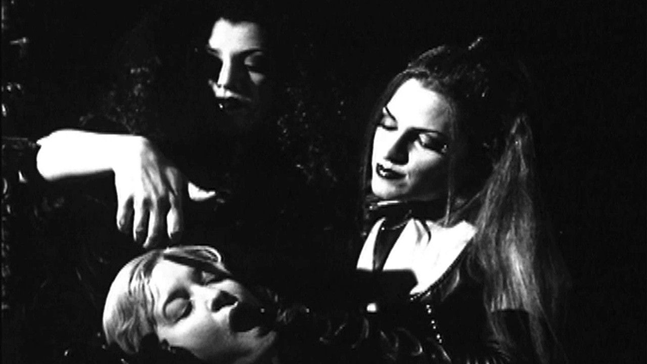 Ladies of the Night backdrop