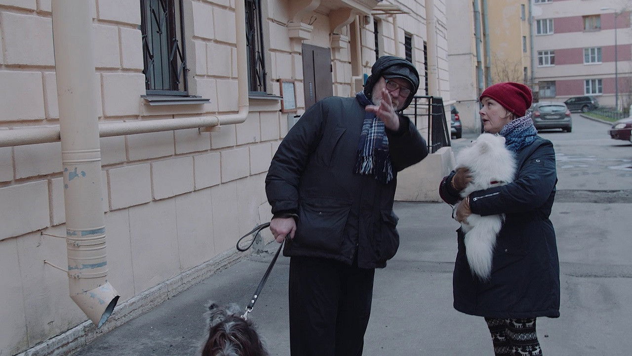 Late Autumn backdrop