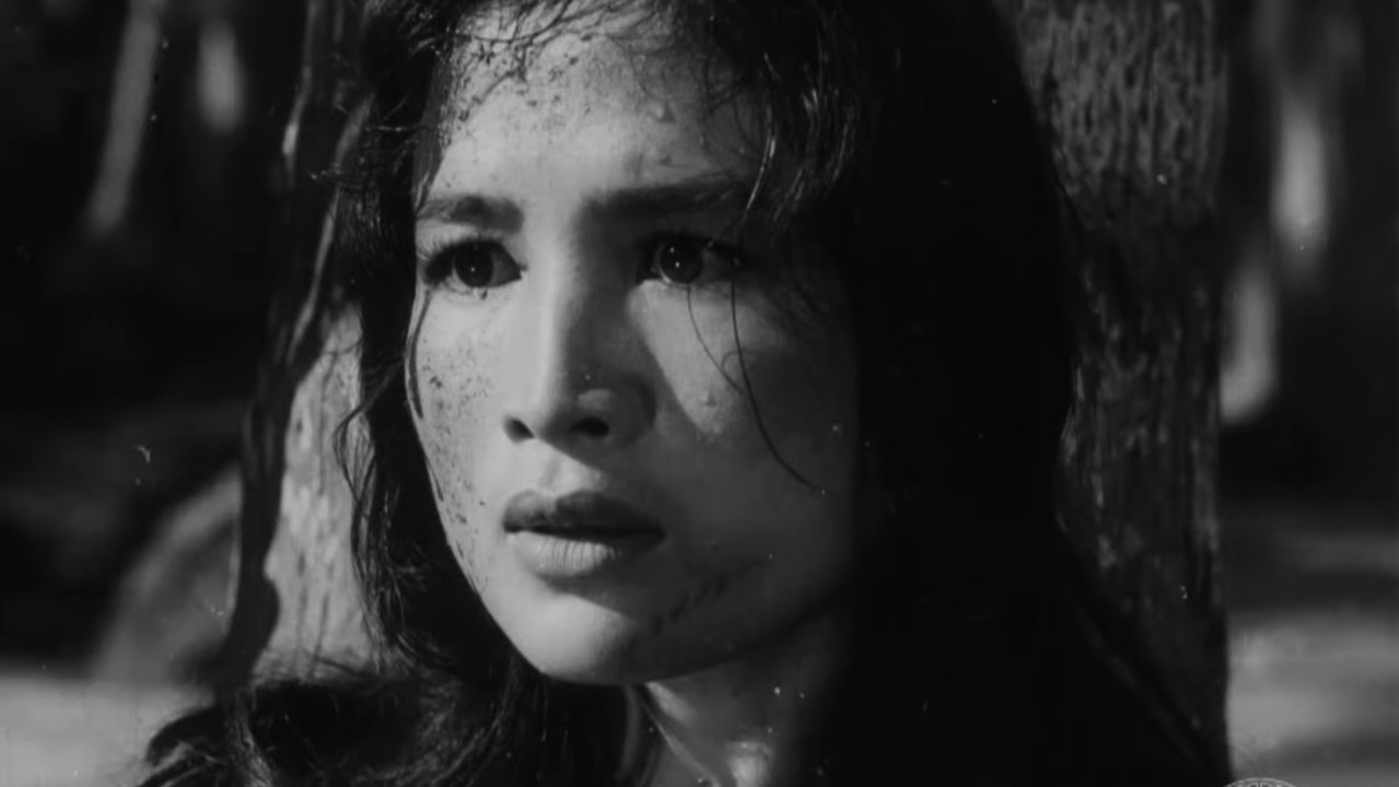 17th Parallel, Nights and Days backdrop