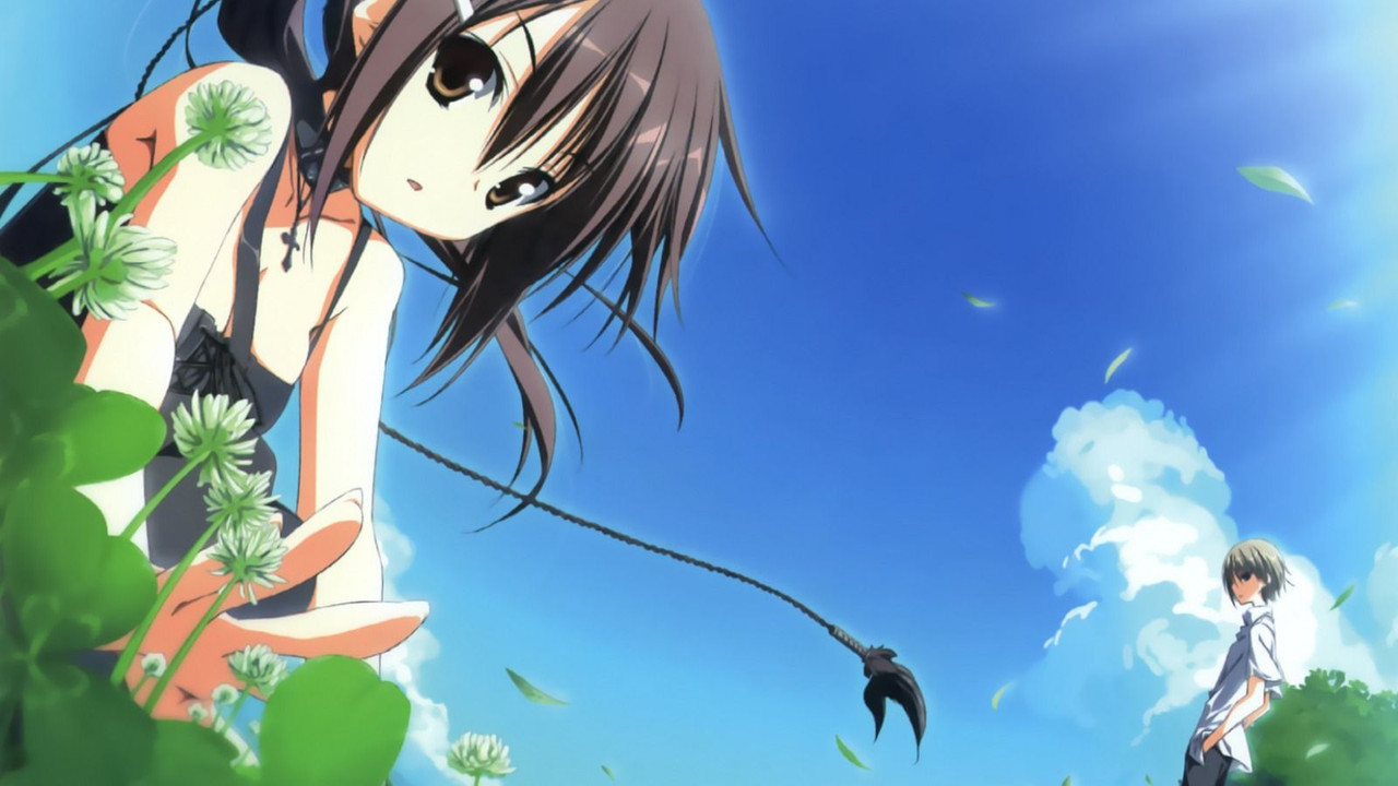 Wonderful Everyday Down the Rabbit-Hole backdrop