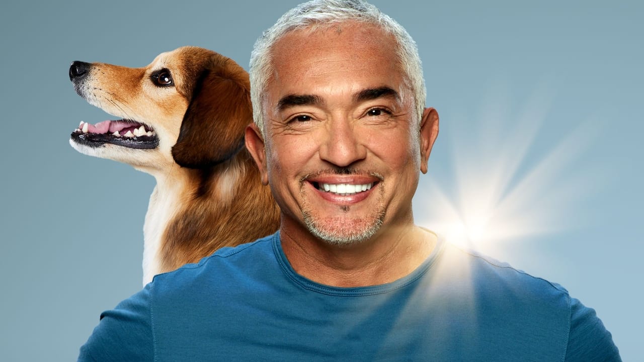 Cesar Millan: Better Human, Better Dog backdrop