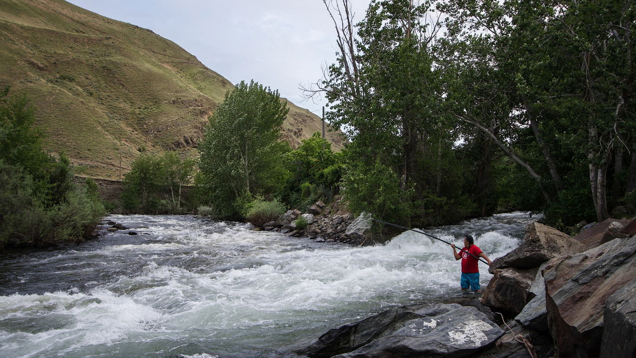 Covenant of the Salmon People backdrop