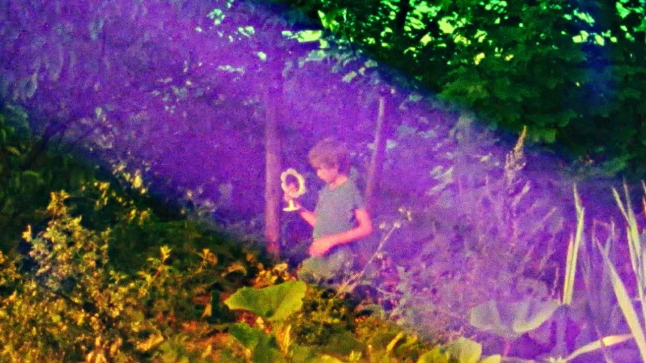 On Top of the Whale backdrop