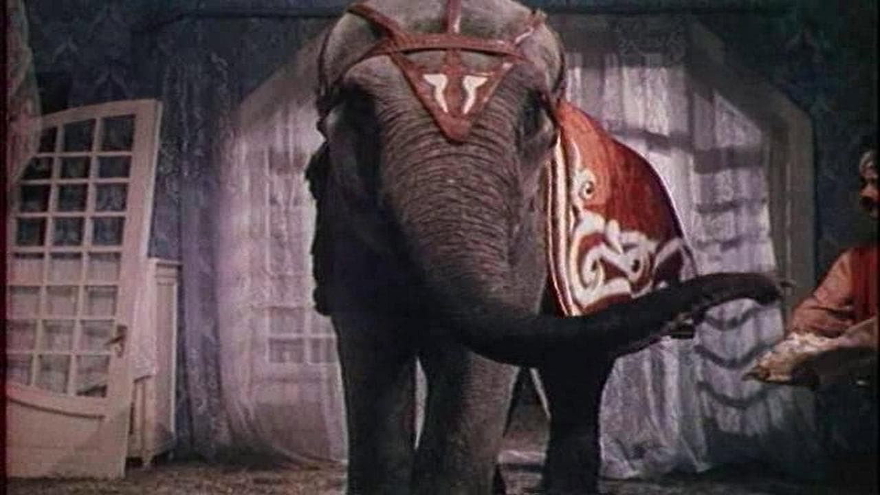 And Then Came Bumbo... backdrop