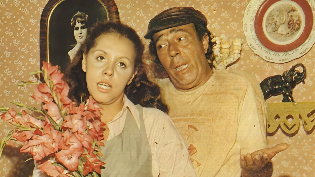 O Conde Zebra backdrop