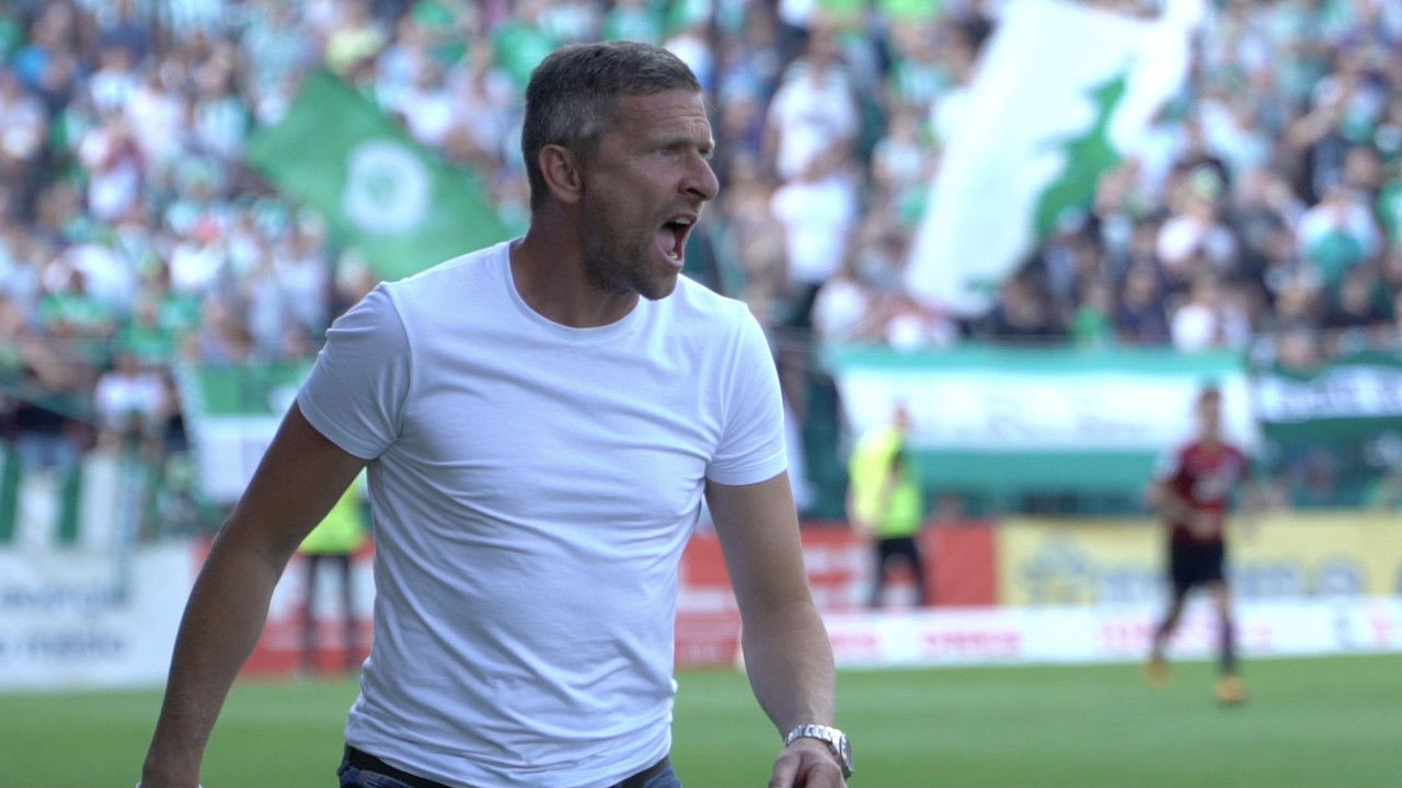 Hašan (ten trenér) backdrop