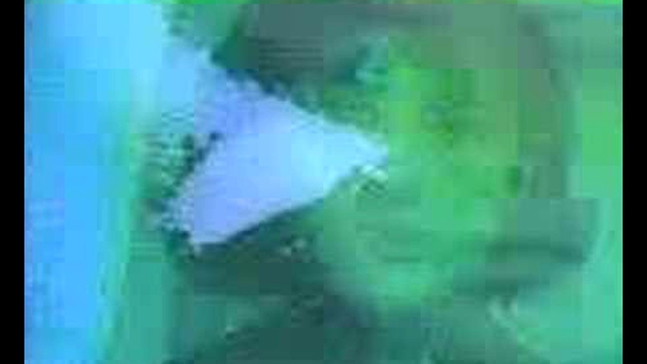 Sol o Águila backdrop