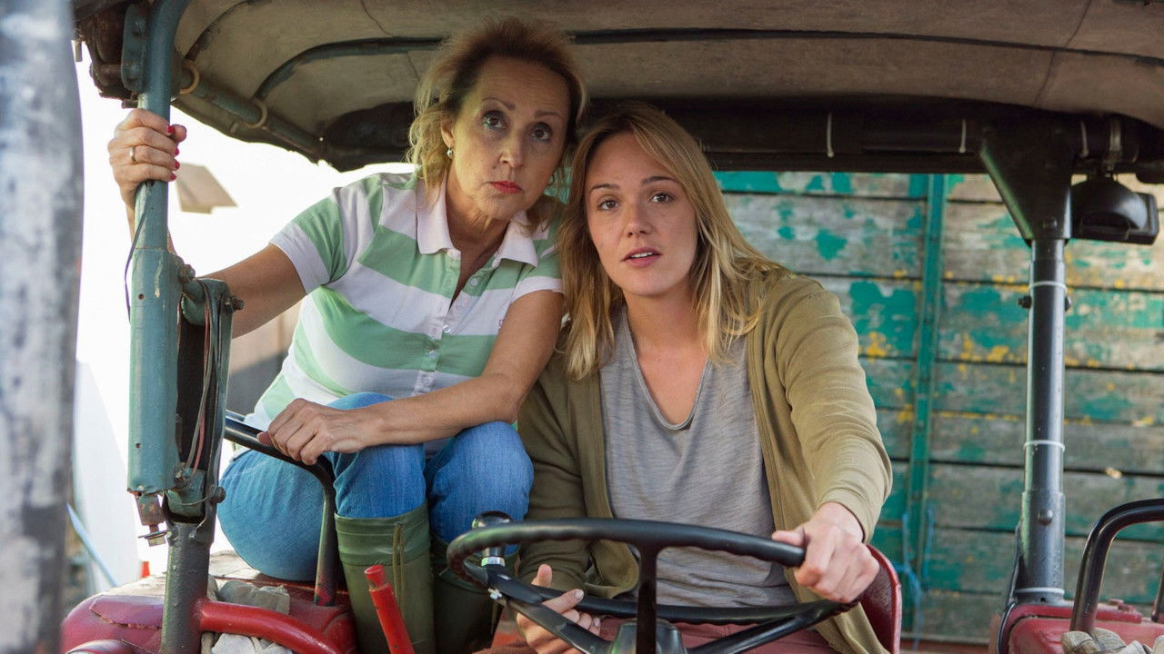 Sisters in Strife backdrop