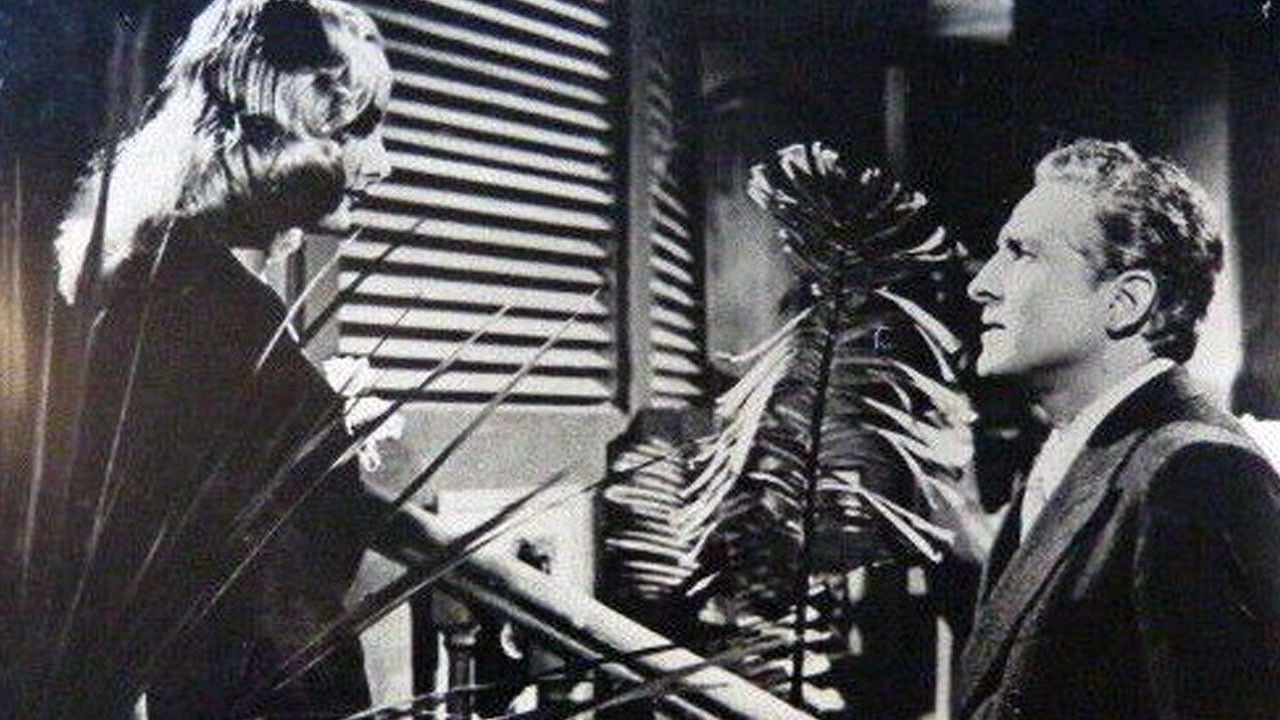 Passport to Rio backdrop