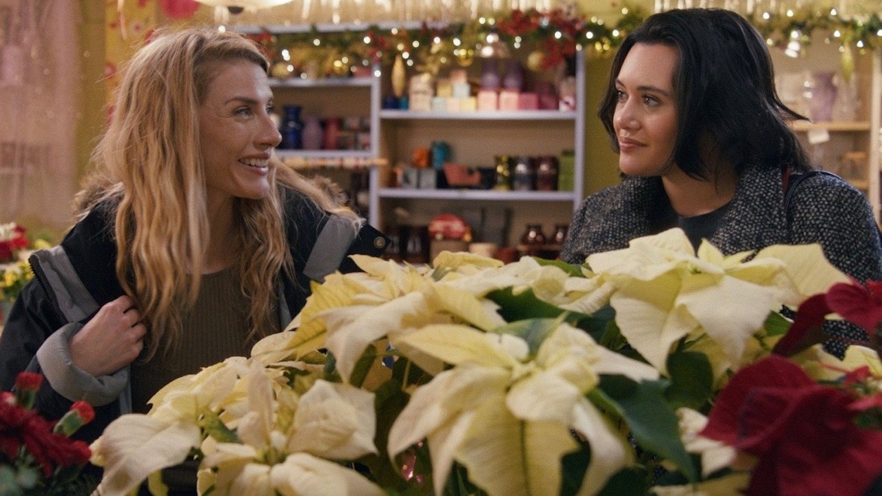 A Holiday I Do backdrop