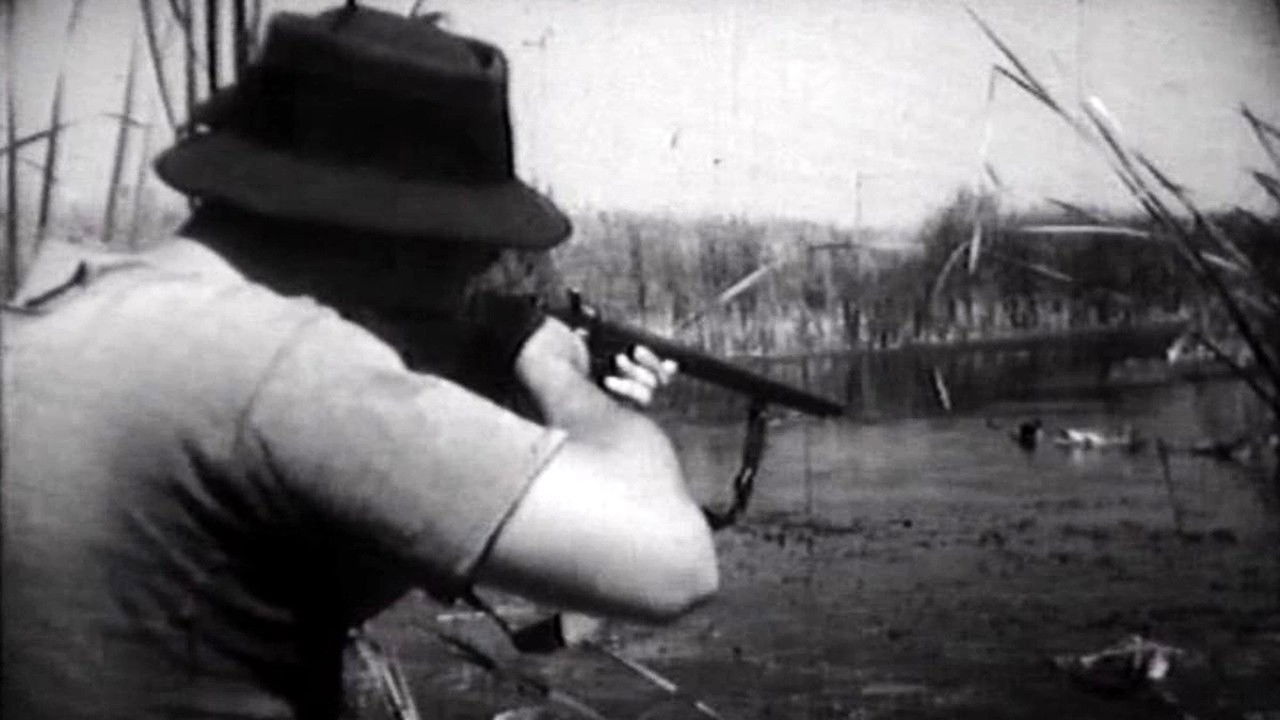 Flight Above the Marshes backdrop