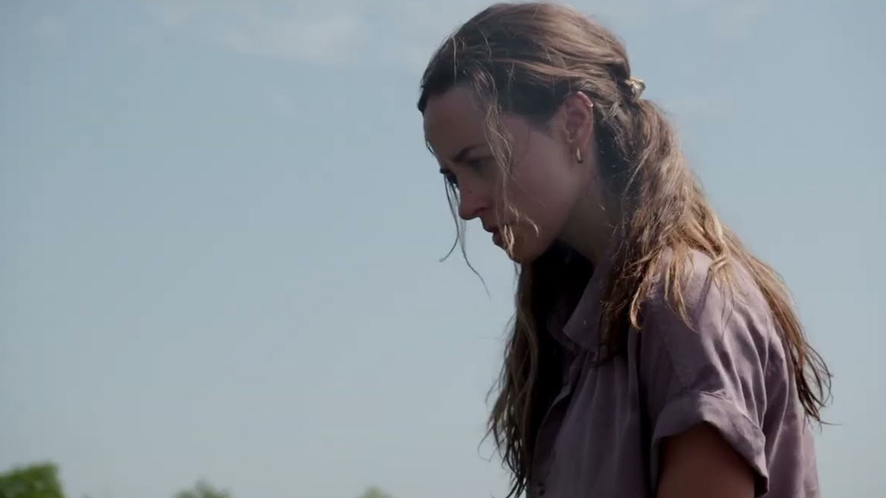 Lone Star Shark backdrop