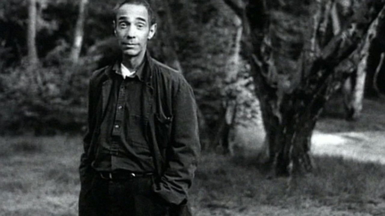 The Clearing backdrop