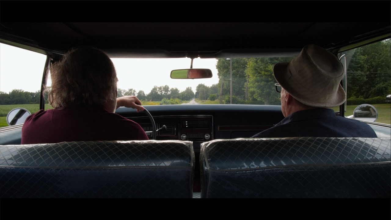 Fly Old Bird: Escape to the Ark backdrop