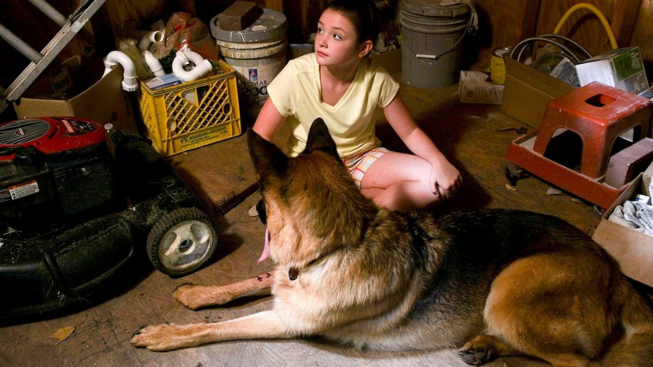 Belong To Us backdrop