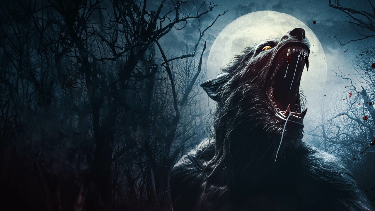 Wolf Hollow backdrop