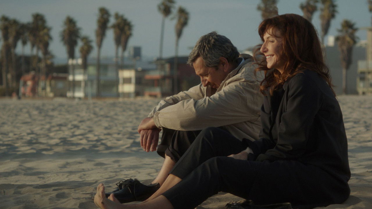 Brahmin Bulls backdrop