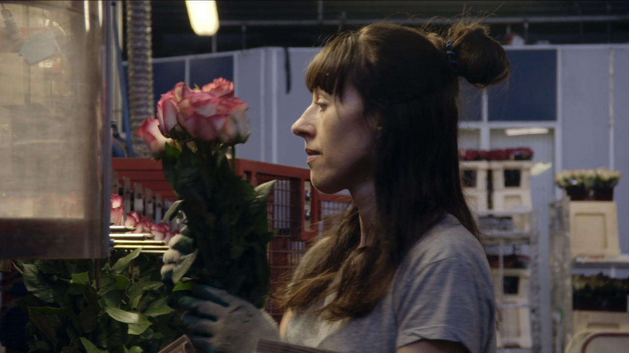 A Flower in the Mouth backdrop