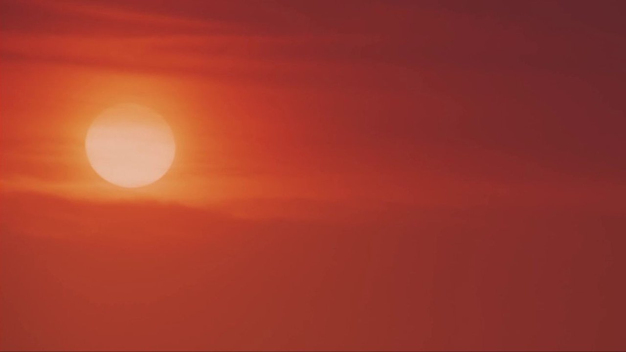 The Snake Prince backdrop