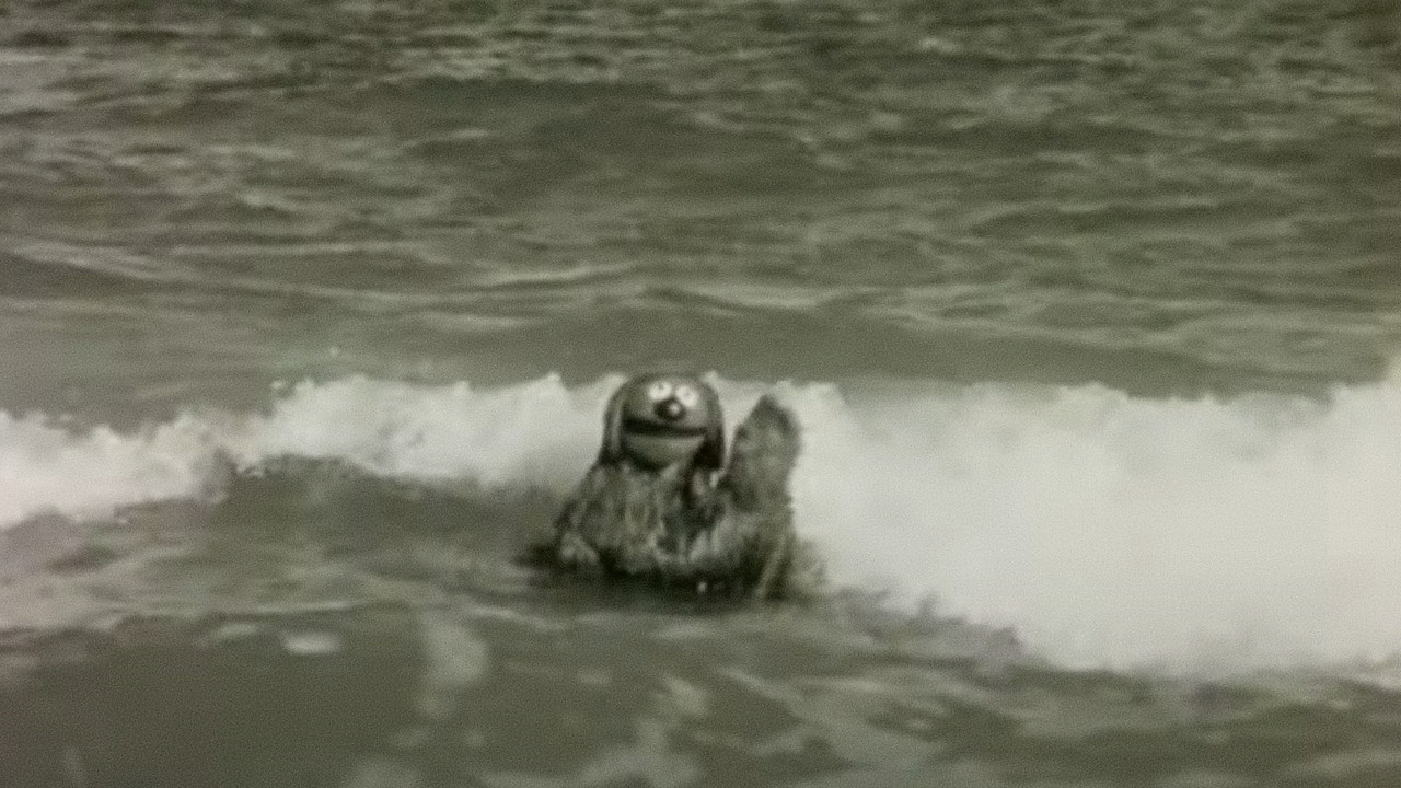 Rowlf the Salesman backdrop