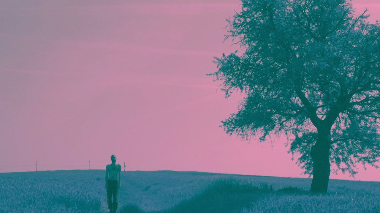 Deformation backdrop