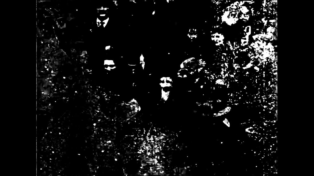 Congregation backdrop