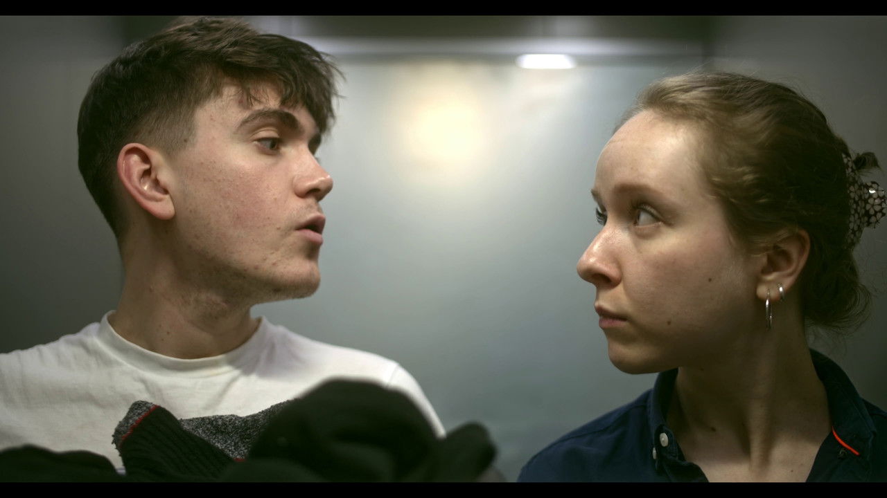 White Roses backdrop