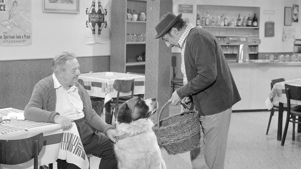 Bohoušův syn backdrop