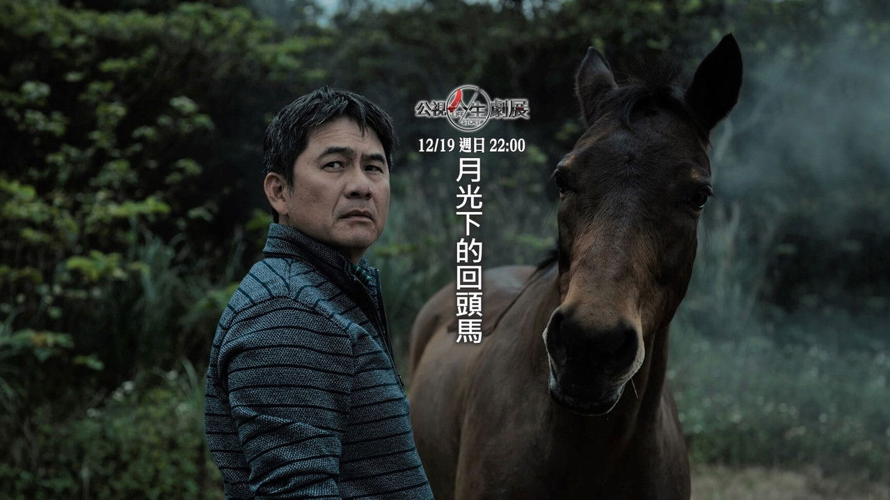 Harking Back backdrop