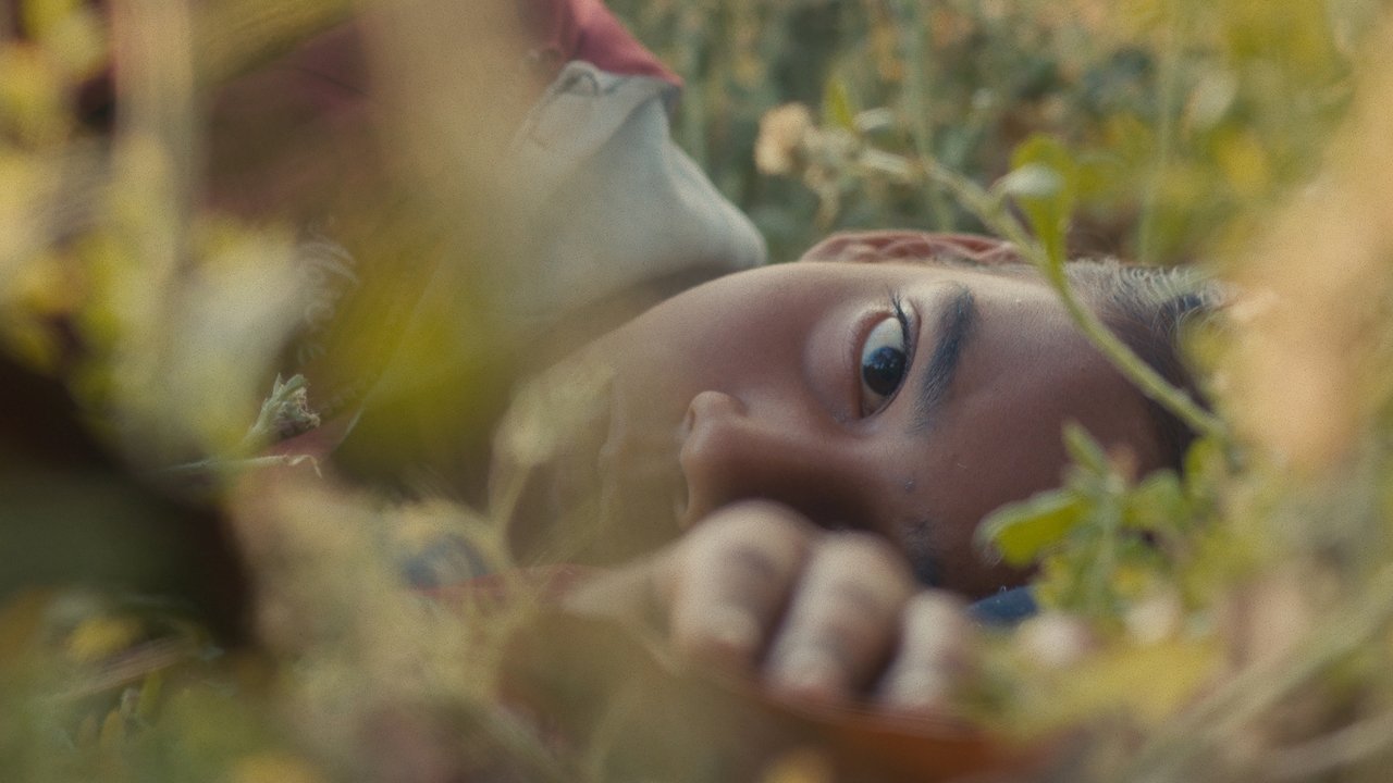 Humans in the Loop backdrop