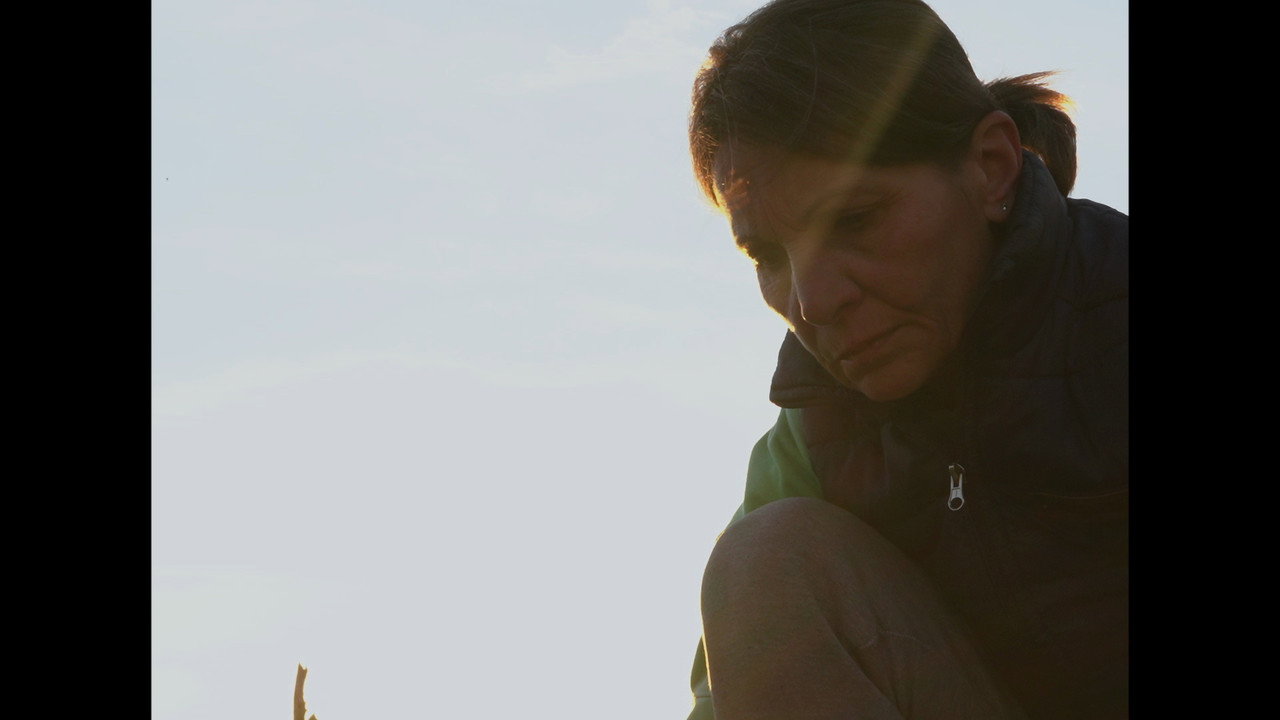 Fiery Enigma backdrop