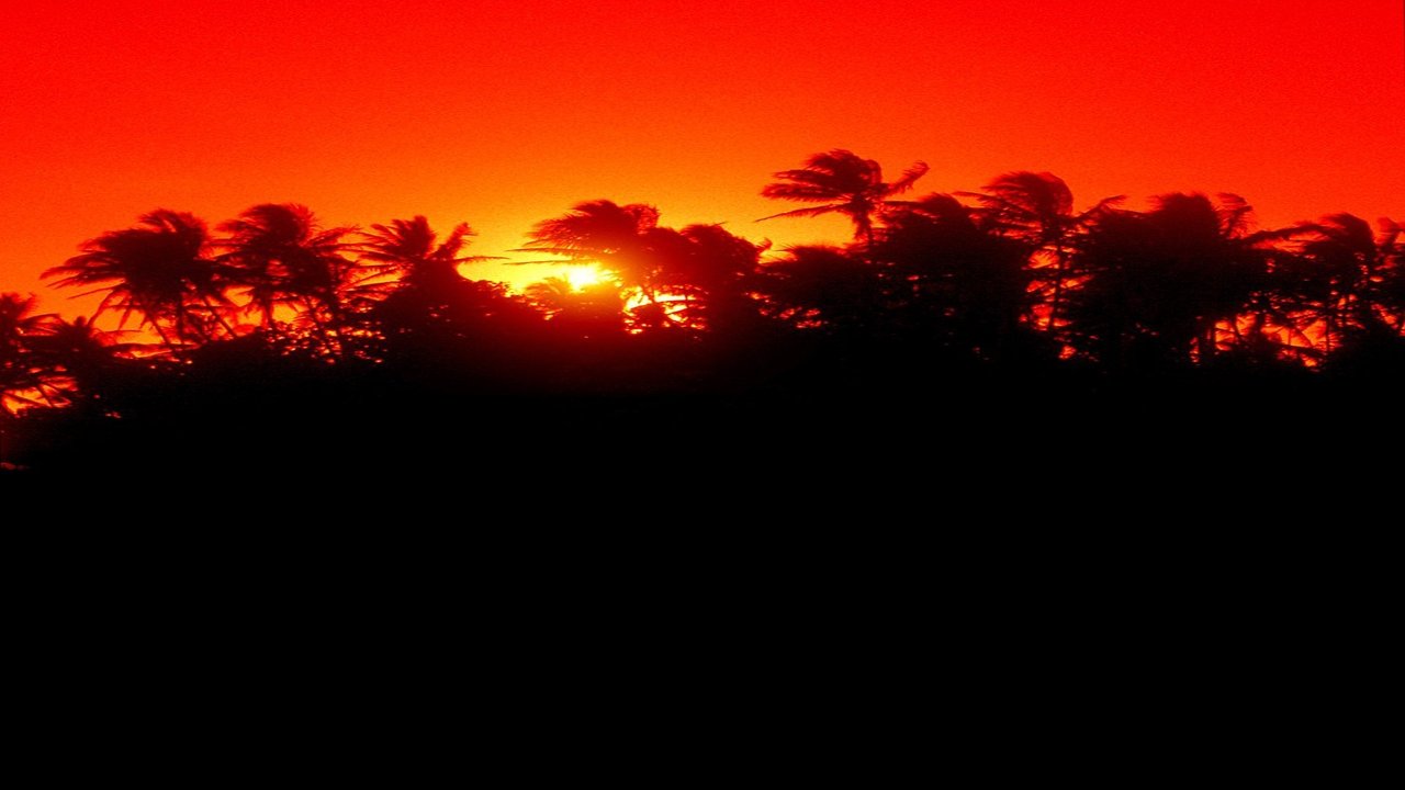 The Making of 'Jurassic Park' backdrop