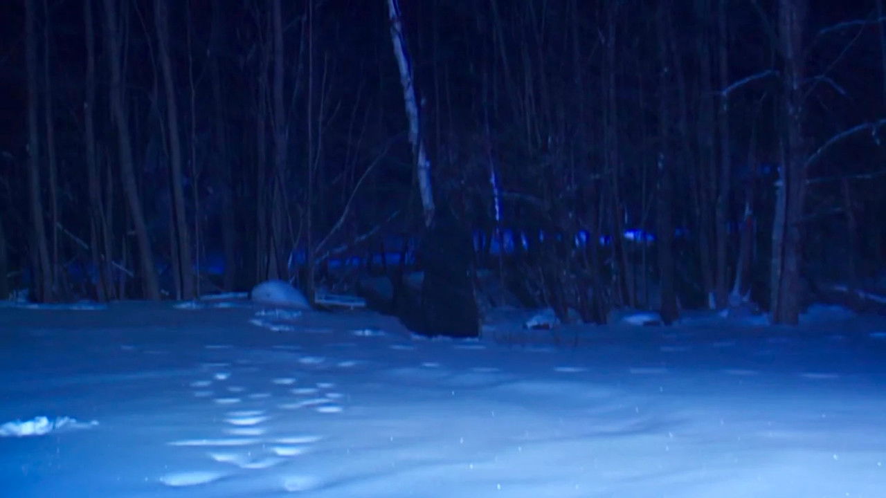 Hardcore Poisoned Eyes backdrop